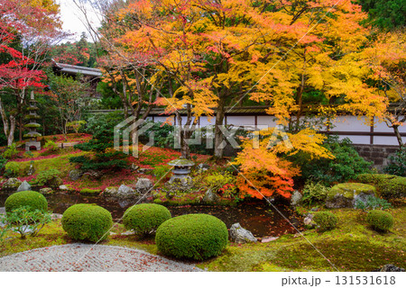 御寺　泉涌寺の御座所庭園の紅葉 131531618