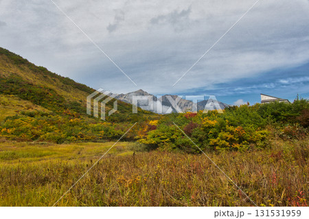 紅葉の黒菱平鎌池湿原と白馬三山 長野県白馬村 紅葉の黒菱平鎌池湿原と白馬三山 長野県白馬村 131531959