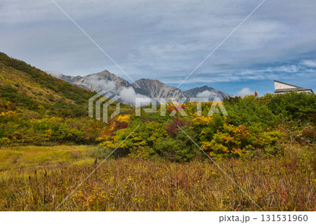 紅葉の黒菱平鎌池湿原と白馬三山　長野県白馬村 131531960