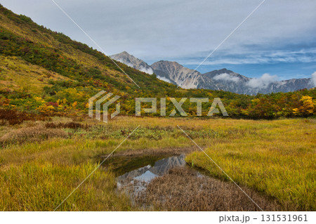 紅葉の黒菱平鎌池湿原と白馬三山　長野県白馬村 131531961