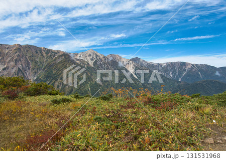 紅葉の黒菱平鎌池湿原と白馬三山　長野県白馬村 131531968
