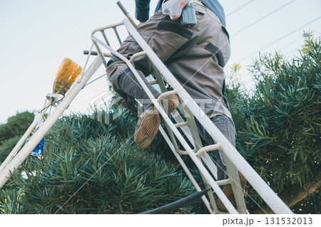 Japanese Gardener 131532013