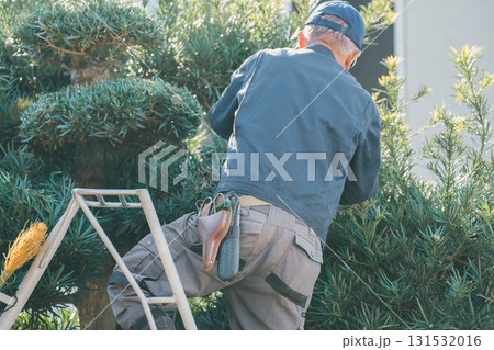 Japanese Gardener 131532016