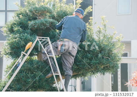 Japanese Gardener Japanese Gardener 131532017