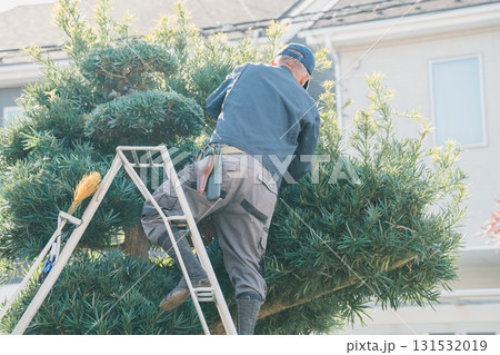 Japanese Gardener 131532019