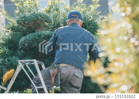 Japanese Gardener 131532022