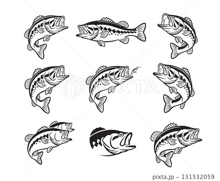 Bold bass fish vector illustrations captured mid-jump with mouths open, ideal for fishing, outdoor, or sports graphics. 131532059