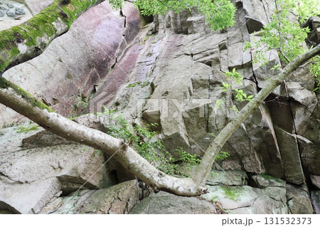奥津渓谷の天狗岩の奇岩と女窟の断崖 奥津渓谷の天狗岩の奇岩と女窟の断崖 131532373