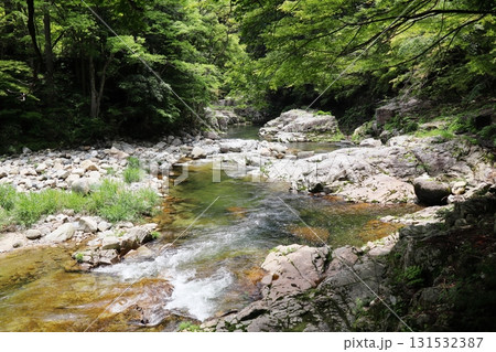 初夏の奥津渓谷の風景 131532387