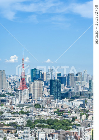 首都東京の都市イメージ 131532759