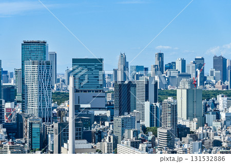 東京の都市風景 東京の都市風景 131532886