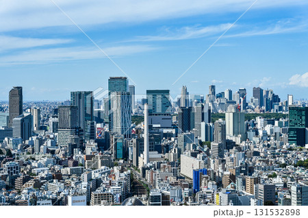 東京の都市風景 東京の都市風景 131532898