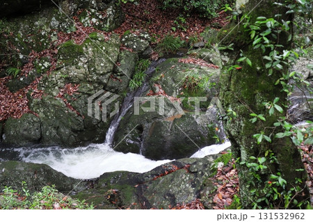 仏渕の黒い岩肌を流れる白い滝 131532962