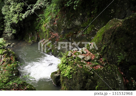 仏渕の黒い岩肌を流れる白い滝 131532968