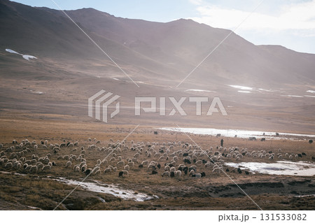 Sheep pasture in Tibet China Sheep pasture in Tibet China 131533082