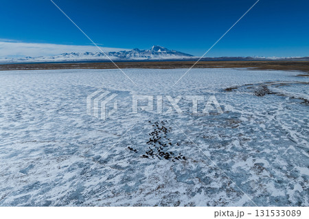 Mount  Namu Na'ni Peak  landscape in tibet, China 131533089