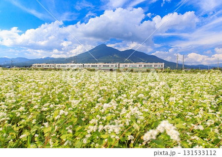 磐越西線とそば畑 131533112