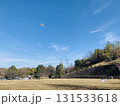 公園で遊ぶ飛行機 131533618