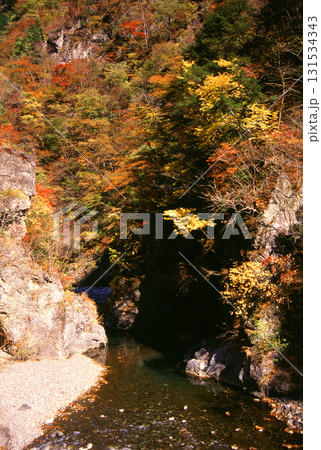 山と渓谷の紅葉が美しい清流 131534343