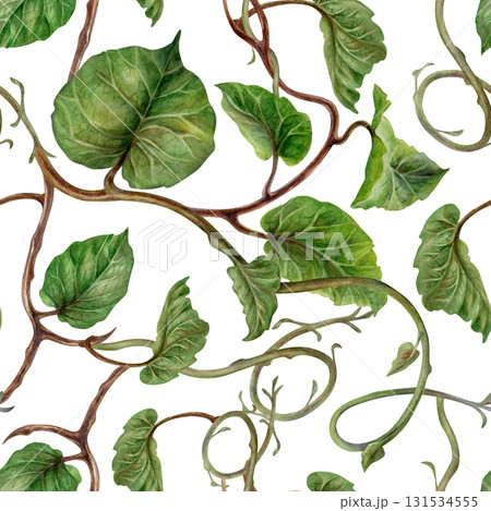 Green kiwi leaves and branches on a seamless pattern on a white background. A spring botanical template for home, children's, and kitchen textiles, wrapping paper, packaging, wallpaper, scrapbooking 131534555