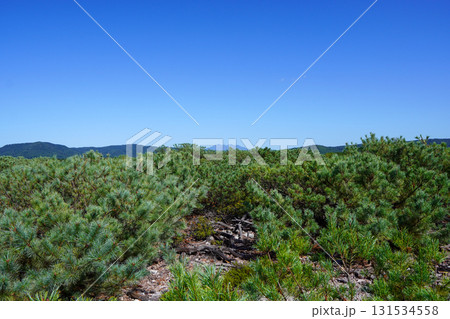 つつじヶ原自然探勝路からの眺め 131534558