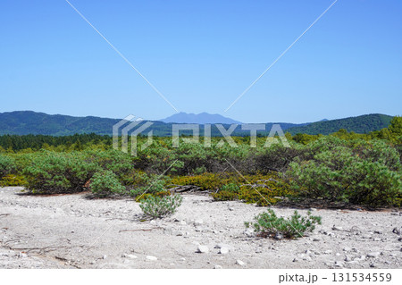 つつじヶ原自然探勝路からの眺め 131534559