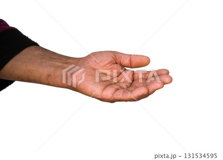 Small mustard seeds in the hand 131534595