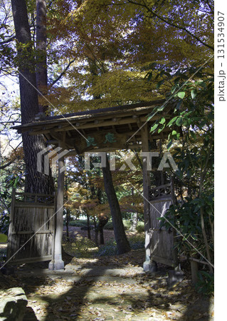 日本庭園と紅葉の風景 131534907