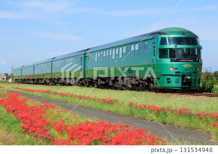 彼岸花咲く久大本線を行く特急「ゆふいんの森」（JR九州） 131534948