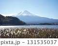 河口湖から望む富士山 131535037