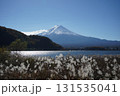 河口湖から望む富士山 131535041