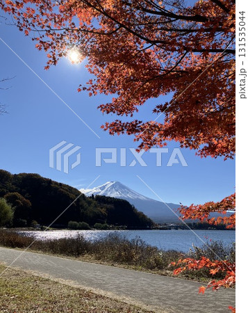 川口湖畔から望む富士山 川口湖畔から望む富士山 131535044