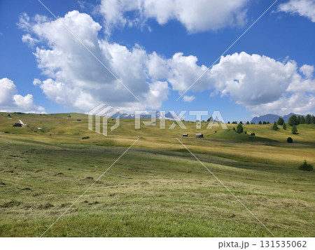 Val badia Dolomites mountains Italy panorama 131535062