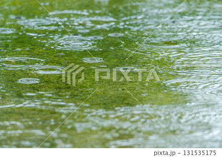 水たまりに雨が振り注ぐ02 131535175