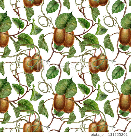 Green leaves, branches and brown fruit kiwi on a seamless pattern on a white background. Botanical template for home, children's, and kitchen textiles, wrapping paper, packaging, wallpaper, scrapbook Green leaves, branches and brown fruit kiwi on a seamless pattern on a white background. Botanical template for home, children's, and kitchen textiles, wrapping paper, packaging, wallpaper, scrapbook 131535201