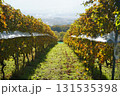 甲府のワイナリー 131535398