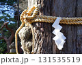 祀り事のご神木にしめ縄 131535519