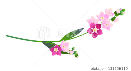 Vintage vector floral element. A branch of pink blooming forget-me-nots. Spring flowers with blue petals. Clipart for wedding designs, Mother's Day, and Valentine's Day cards. Vintage vector floral element. A branch of pink blooming forget-me-nots. Spring flowers with blue petals. Clipart for wedding designs, Mother's Day, and Valentine's Day cards. 131536119