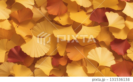 イチョウの落ち葉 イチョウの落ち葉 131536138