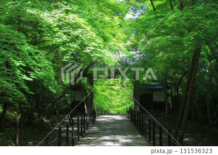 光明寺 京都府長岡京市 131536323