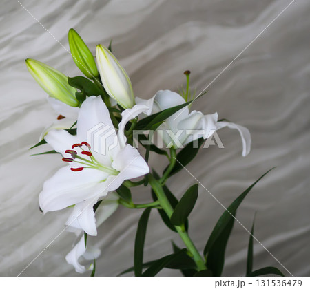 Romantic bouquet of lilies in soft natural light. Romantic bouquet of lilies in soft natural light. 131536479
