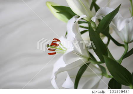 Elegant bouquet of white lilies with lush petals. Elegant bouquet of white lilies with lush petals. 131536484