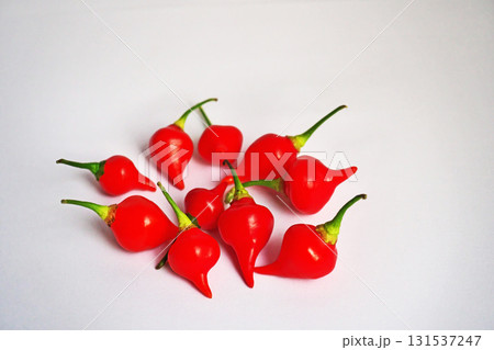 赤い辛くない唐辛子（ビキーニョ）（秋、十月） 131537247