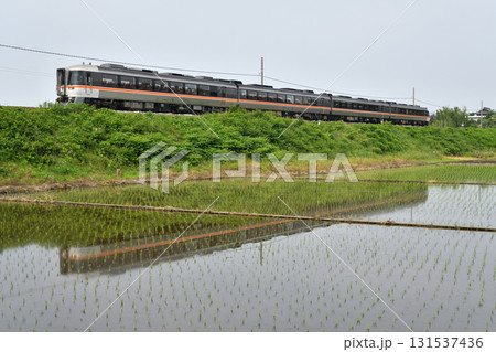 鵜沼の水田を行くキハ85系特急ひだ3両編成 鵜沼の水田を行くキハ85系特急ひだ3両編成 131537436