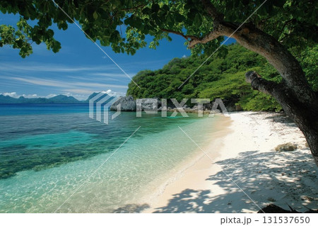Beautiful seascape. Panoramic view of the sandy beach. 131537650