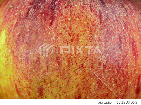 Colorful skin of an apple Colorful skin of an apple 131537955