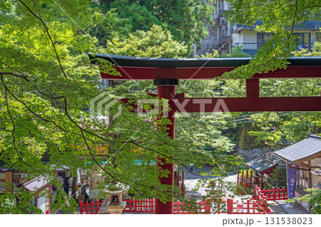 奈良 談山神社 緑に包まれた赤い鳥居 奈良 談山神社 緑に包まれた赤い鳥居 131538023