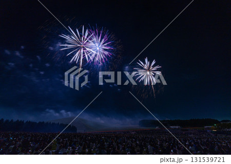 北海道芸術花火大会 モエレ沼 札幌 花火 夏 北海道芸術花火大会 モエレ沼 札幌 花火 夏 131539721