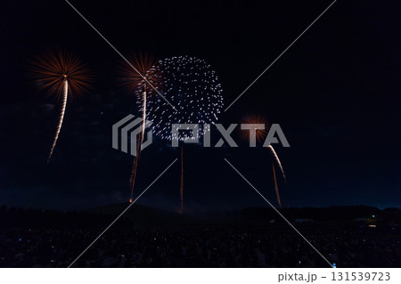 北海道芸術花火大会 モエレ沼 札幌 花火 夏 北海道芸術花火大会 モエレ沼 札幌 花火 夏 131539723