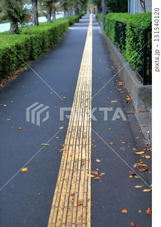 視覚障害者誘導用ブロックのある歩道　イメージ 131540120